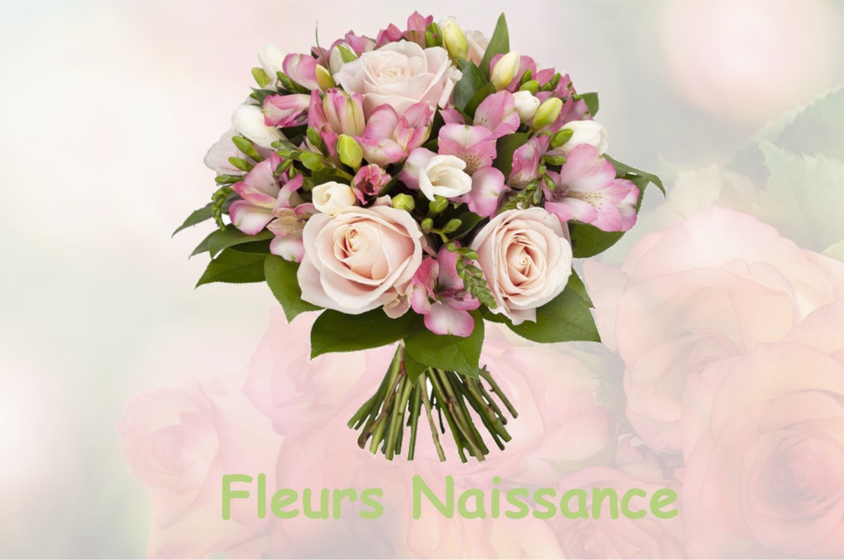fleurs naissance BAIGNEUX-LES-JUIFS